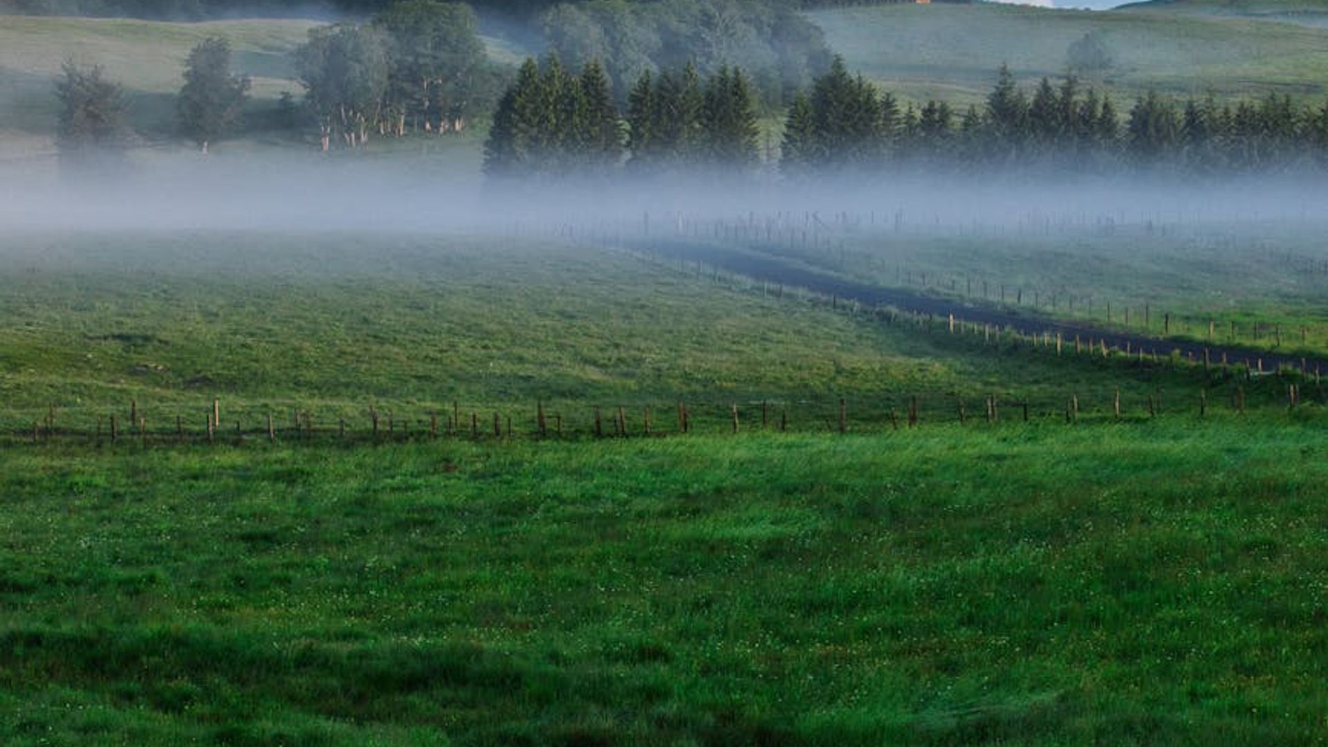 Beautiful landscape with soft green hills and morning mist